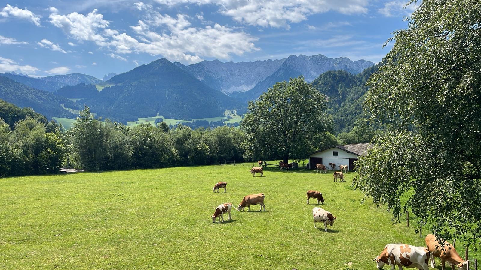 Read more about the article Erholung – Warum Urlaub allein nicht reicht